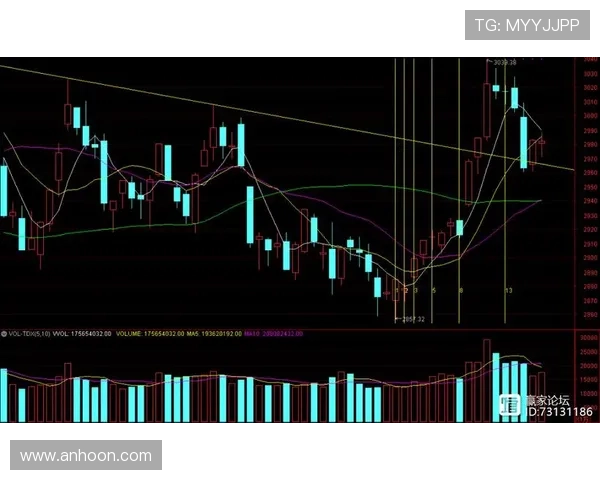成都羽毛球队与武汉羽毛球队赛后复盘分析比赛节奏与战术对比